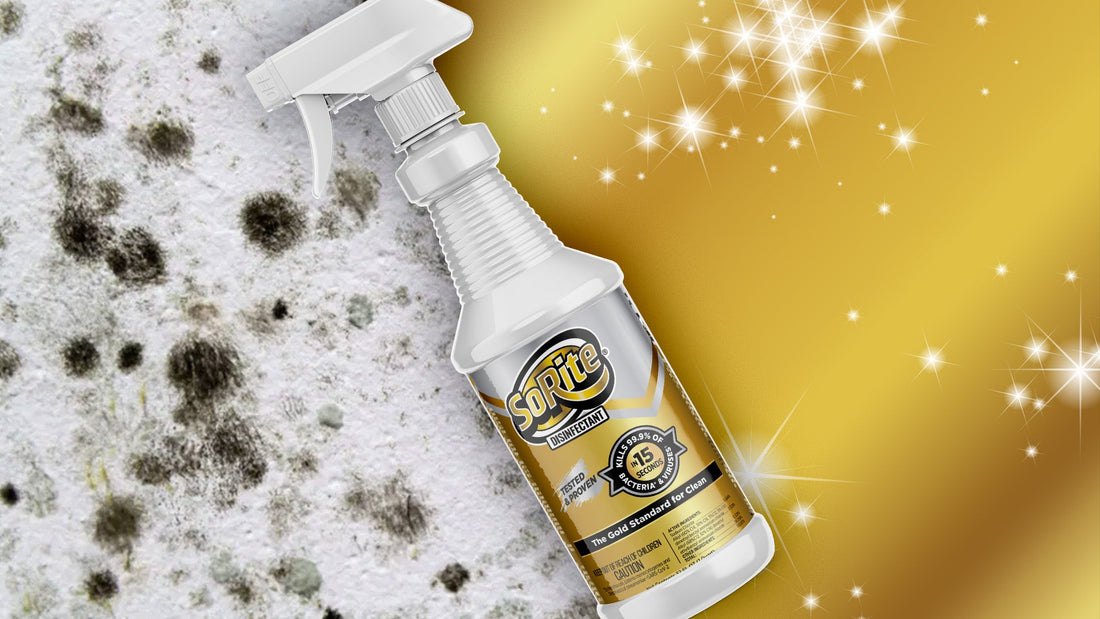 Cleaning vs. Disinfecting with SoRite