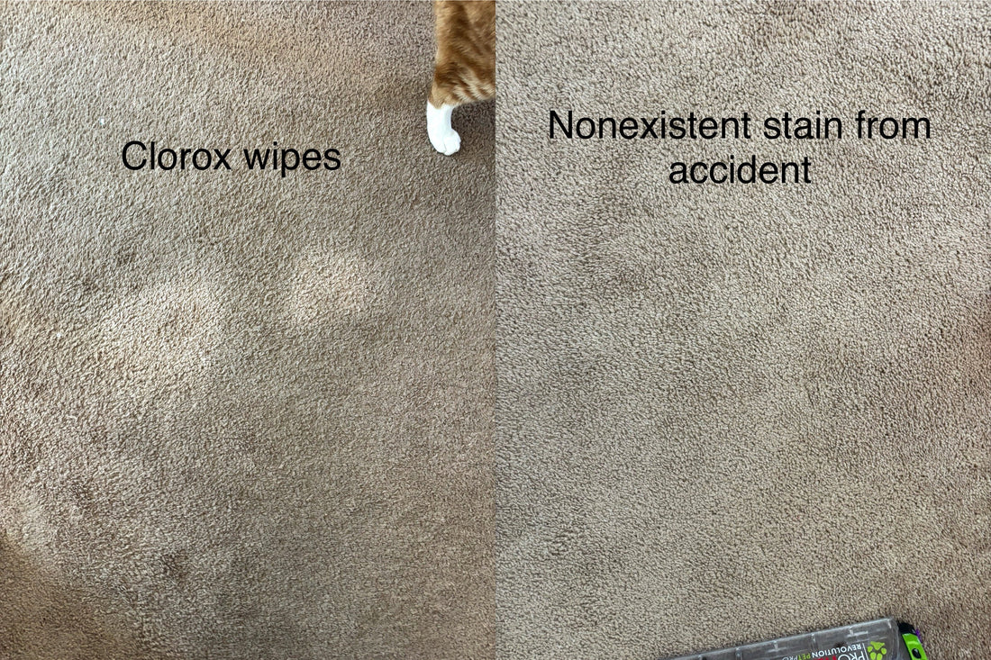 Why PISS OFF+ Is the Pet Odor Solution Groomers Have Been Waiting For
