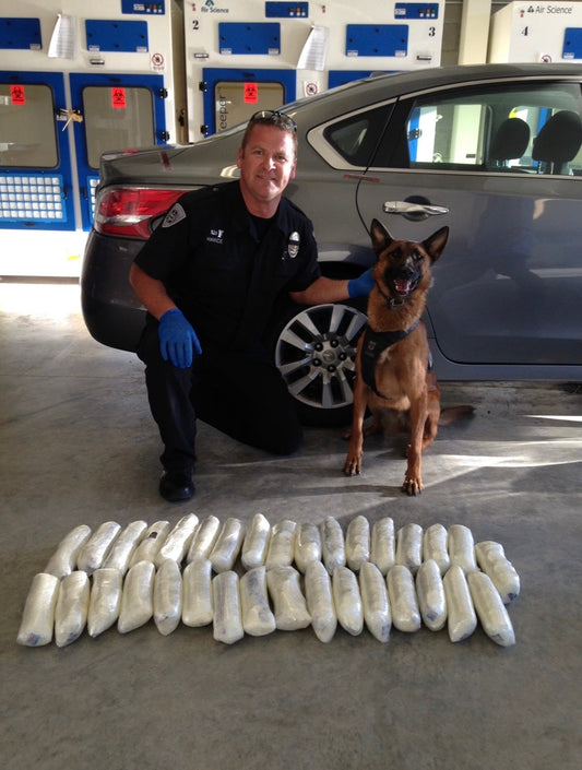 Mitigating the risks posed by fentanyl and other narcotics to K-9 teams